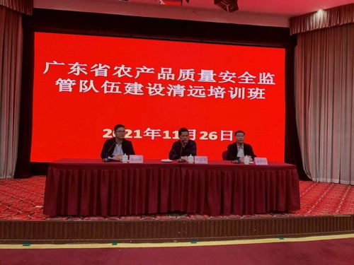 广东省安全生产监督管理局，守护南粤大地的安全盾