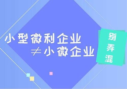 小而美的经济力量，探索符合条件的小型微利企业