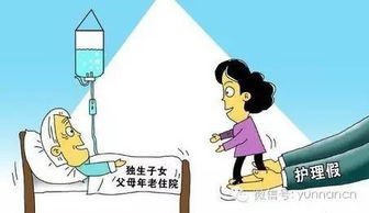 天津市计划生育条例，家庭规划与社会和谐的桥梁