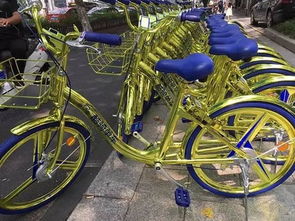 锯锁私享，共享单车的共享精神与私欲的较量