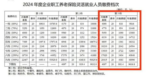社保缴费基数，理解、计算与影响