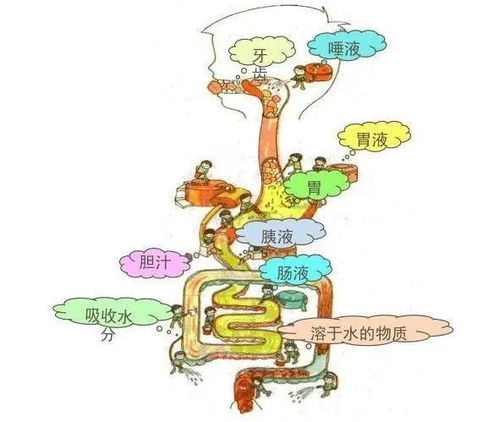 深入了解性侵犯，保护儿童免受伤害的策略与行动