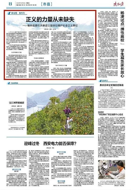 法制名言的力量，塑造社会正义的十句箴言