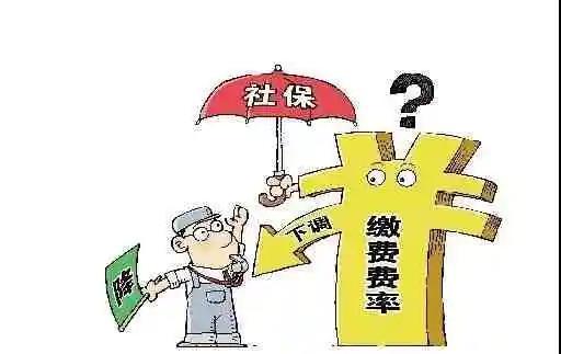 深入了解2014年社保缴费基数，保障与责任的平衡