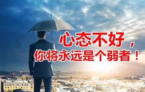 智慧的灯塔，法律警示格言的力量与启示