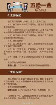 节假日放假规定，全面解析与实用指南