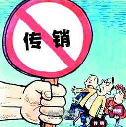 法律、道德与智慧，构建和谐社会的三驾马车