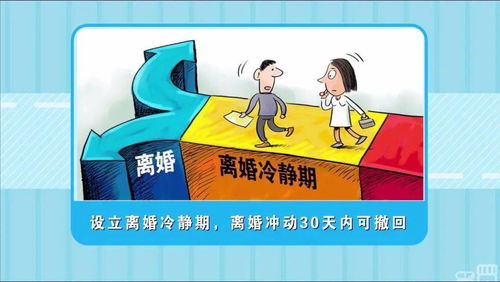 法律、道德与智慧，构建和谐社会的三驾马车
