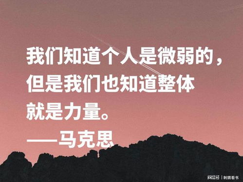 法律名言名句的智慧，照亮正义之路