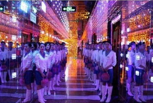 KTV包房公主，夜幕下的璀璨之星