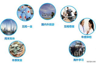 知识产权公司，职业前景、工作环境与个人成长的全方位解析