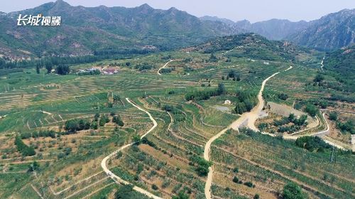 守护绿水青山，深入理解与应用水土保持法