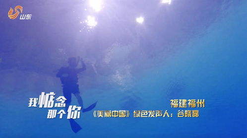 新时代的守护者，中国新劳动法如何重塑职场生态