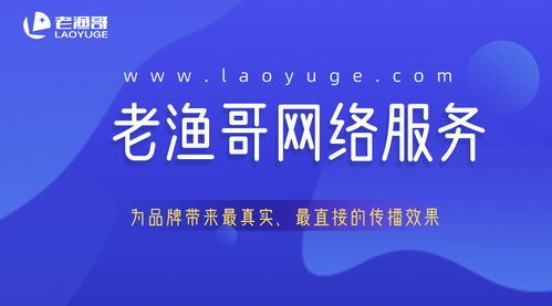 轻松掌握股份转让，代办服务的便利与智慧