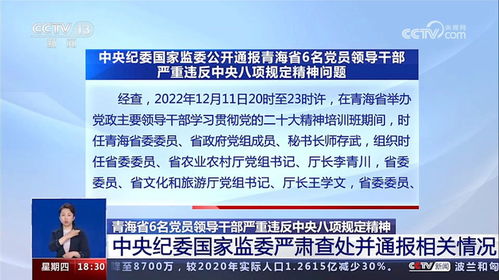 深入解析，正厅级官员在中国行政体系中的地位与作用