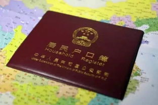 被委托人身份证明，确保交易安全与法律效力的关键