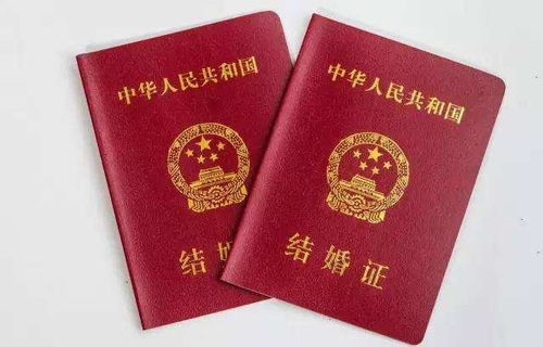 婚姻启航，领结婚证所需材料全攻略