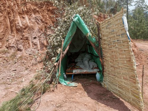 版权的守护神，探索中国版权保护中心的奥秘