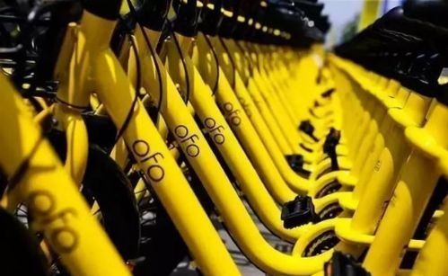 ofo的法律之盾，揭秘律师函的力量与影响