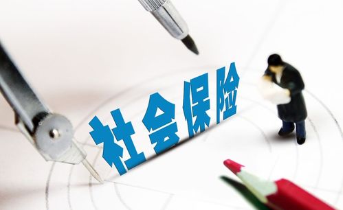 深入了解失业补助金，领取条件与实用指南