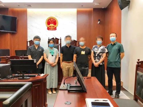 南京市雨花台区人民法院院长，司法公正的守护者