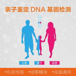 亲子鉴定，选择正确的机构进行DNA测试