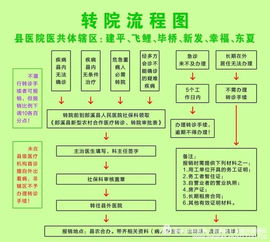 农村合作医疗报销全攻略，政策解读与实操指南