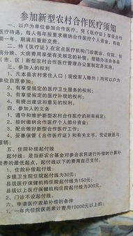 农村合作医疗报销全攻略，政策解读与实操指南