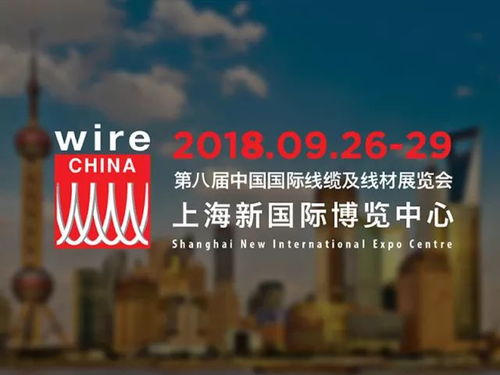 法律名言的力量，智慧的火花，正义的灯塔