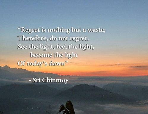 法律明言警句，智慧的火花，正义的灯塔