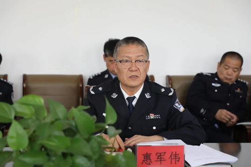 新乡市车辆违章查询，一站式指南