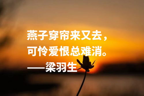 法律明言警句，智慧的箴言，正义的灯塔