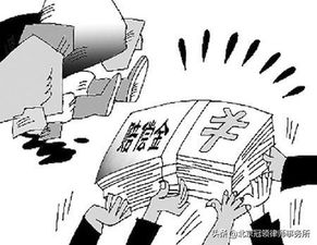 青春的歧途，青少年违法犯罪案例解析