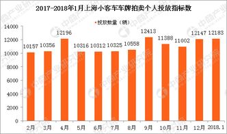 上海汽车牌照查询，流程、技巧与注意事项