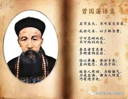 法理之光，解读法律四字格言的智慧