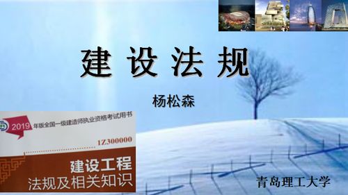 法律格言100条，智慧的指引与生活的灯塔