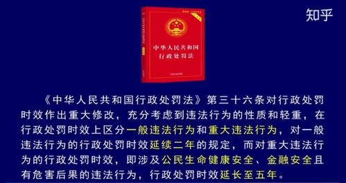税务行政复议，权利的守护者与程序的指南