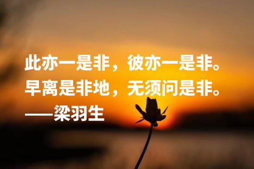 法治名言警句大全，智慧的火花，照亮正义之路