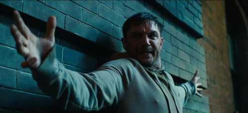 正义的守护者，苏义飞律师，您身边的法律专家