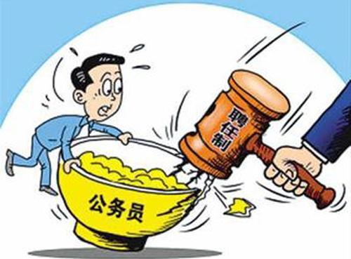 公务员条例，守护公平与效率的桥梁