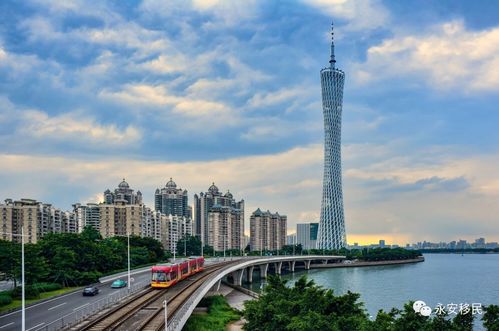 广州市建委，城市发展与民生改善的桥梁