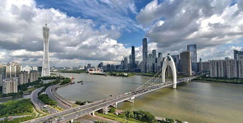 广州市建委，城市发展与民生改善的桥梁