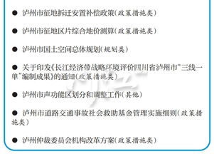 合法性审查，确保决策和行为的法律合规性