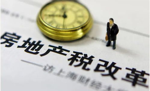 深入了解韩国单身税，影响、争议与社会影响