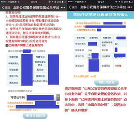 威海违章车辆查询，简单步骤与实用技巧