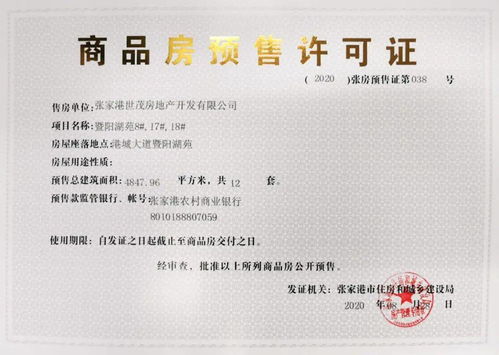 烟花爆竹销售许可证，安全与合规的桥梁