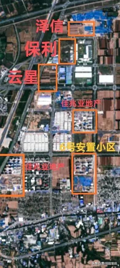 理解与同情，探讨黄海波事件背后的社会与心理因素