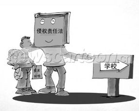 法律的力量，如何塑造社会秩序与个体行为