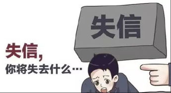 法律的力量，如何塑造社会秩序与个体行为