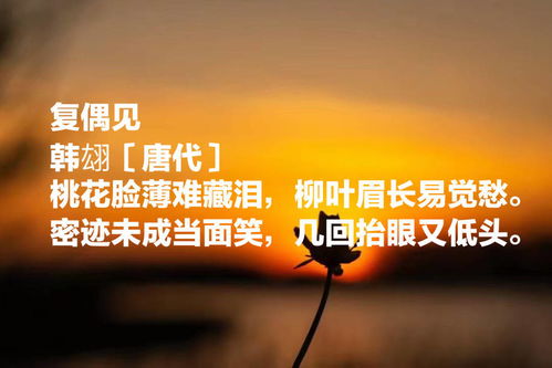 智慧的灯塔，法律名言警句在四年级的启迪之旅